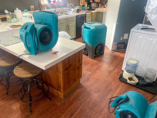 Best Water damage restoration insurance claims  in El Rancho, NM