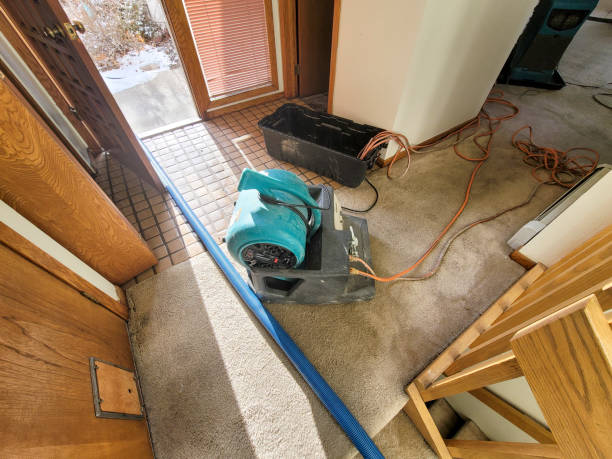 Best Water damage restoration near me  in El Rancho, NM