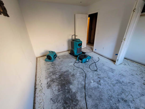 Best Water damage restoration insurance claims  in El Rancho, NM