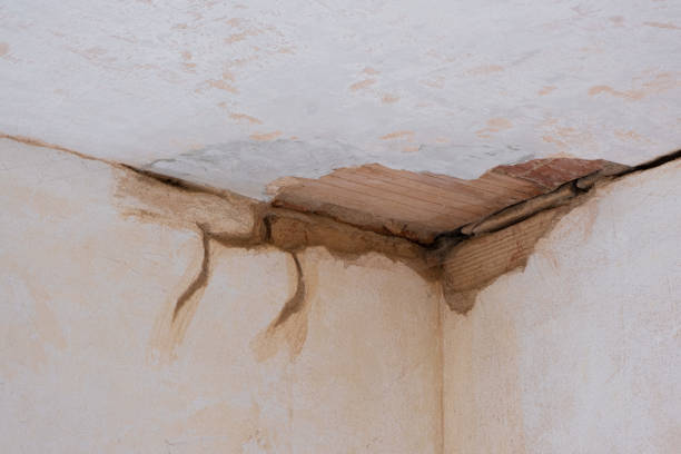 Trusted El Rancho, NM Water damage restoration Experts