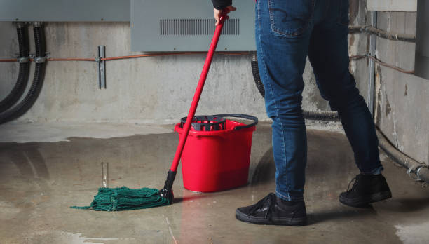 Water damage restoration insurance claims in El Rancho, NM