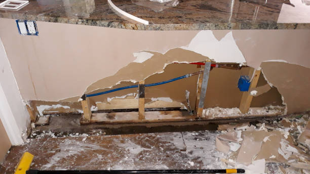  El Rancho, NM Water damage restoration Pros