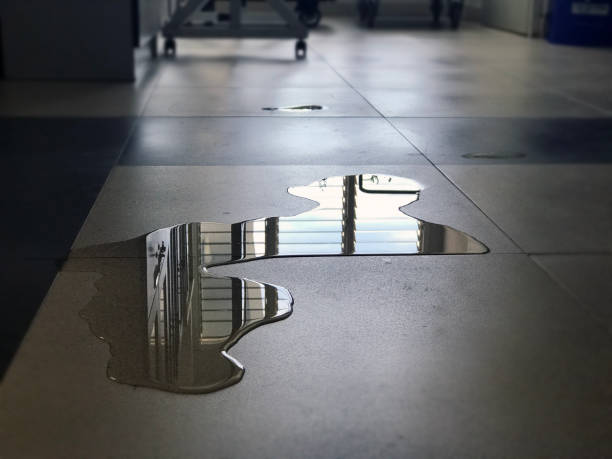 Best Professional water damage repair  in El Rancho, NM