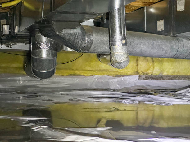 Best Mold removal after water damage  in El Rancho, NM