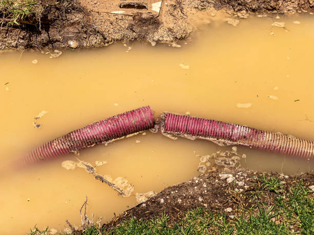 Best Emergency water damage restoration  in El Rancho, NM